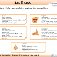 autour des sensations