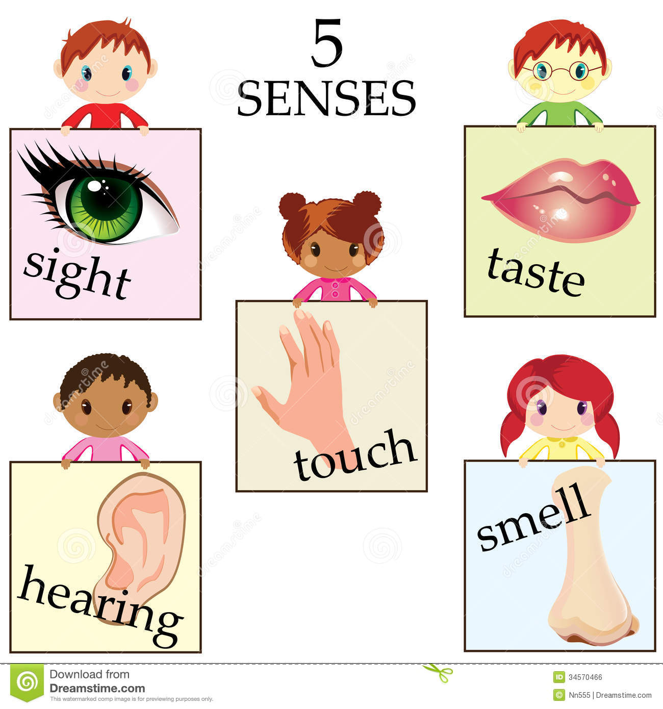 5 senses